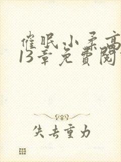 催眠小柔高达第13章免费阅读