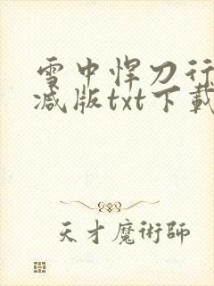 雪中悍刀行无删减版txt下载封面