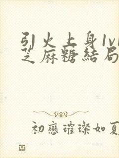 引火上身1v1芝麻糖结局