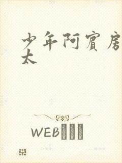 少年阿宾房东太太