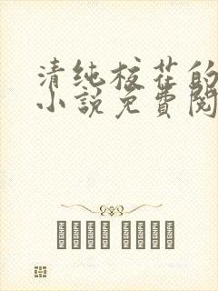 清纯校花的秘密小说免费阅读