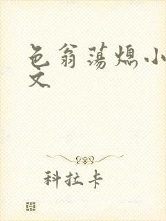 色翁荡熄小说全文