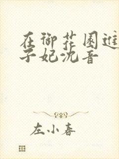 在御花园进入太子妃沈音