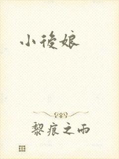 小后娘封面