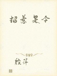 招惹 是今