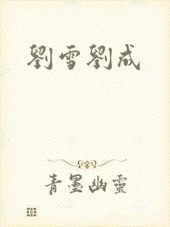 刘雪刘成封面