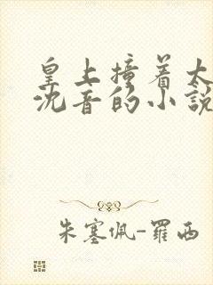 皇上撞着太子妃沈音的小说叫什么