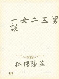 一女二三男事小说封面
