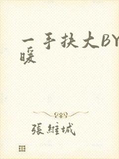 一手扶大BY泱暖封面