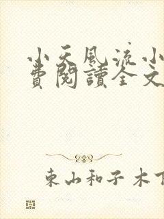 小天风流小说免费阅读全文最新章节