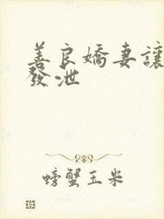 善良娇妻让老丁发泄封面