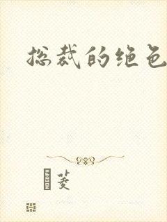 总裁的绝色宠妻