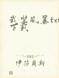 武装风暴txt下载封面