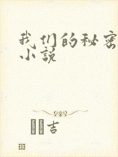 我们的秘密泰剧小说
