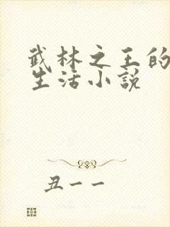 武林之王的退隐生活小说