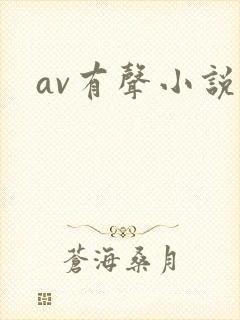 av有声小说