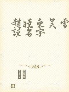 赵晓东吴雪晴小说名字