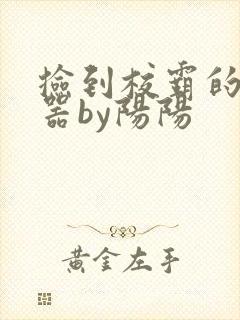 捡到校霸的遥控器by阳阳封面