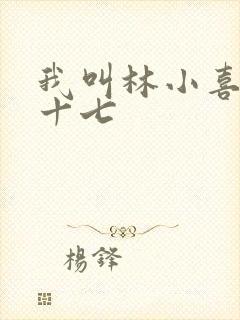 我叫林小喜今年十七
