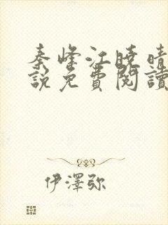 秦峰江晓晴的小说免费阅读封面