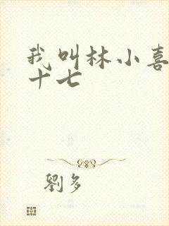 我叫林小喜今年十七