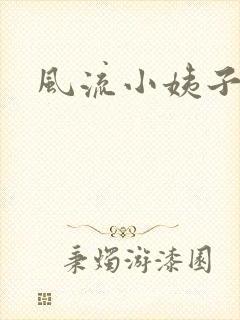 风流小姨子封面