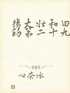 杨大壮和田桂花的第二十九