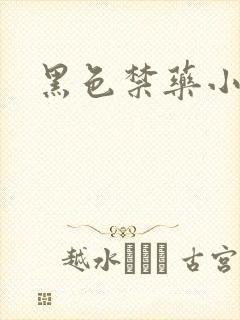 黑色禁药小说