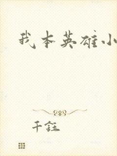 我本英雄小说