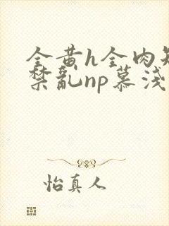 全黄h全肉短篇禁乱np慕浅浅封面