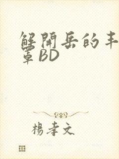 解开岳的丰满奶罩BD封面