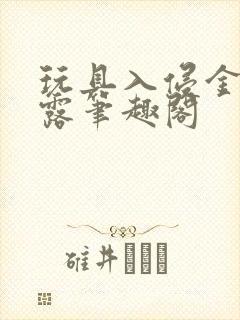 玩具入侵金银花露笔趣阁