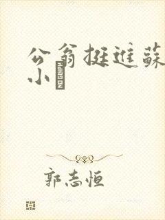 公翁挺进苏玥的小泬