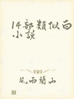 14部类似白洁小说封面
