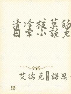 清冷校草的堕落日常小说免费阅读封面