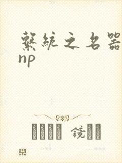 系统之名器攻略np