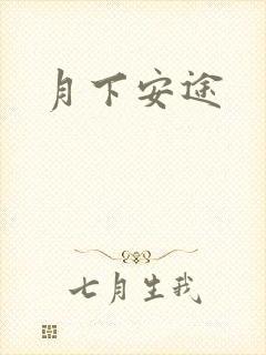 月下安途