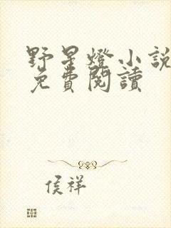 野星灯小说全文免费阅读