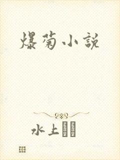 爆菊小说