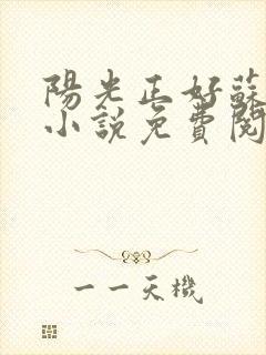 阳光正好苏玥玥小说免费阅读无弹窗