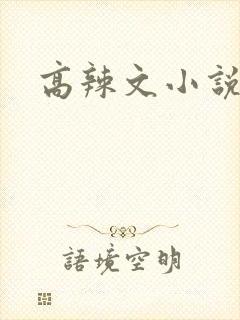 高辣文小说