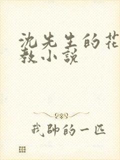 沈先生的花式管教小说封面