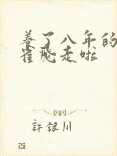 养了八年的金丝雀飞走啦封面