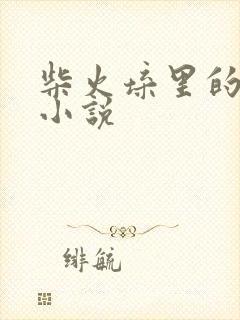 柴火垛里的疯狂小说封面