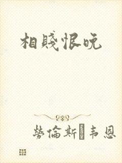 相贱恨晚封面