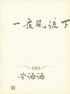 一夜风流下载