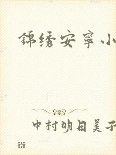 锦绣安宁小说封面