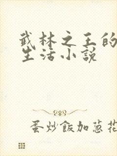 武林之王的退隐生活小说