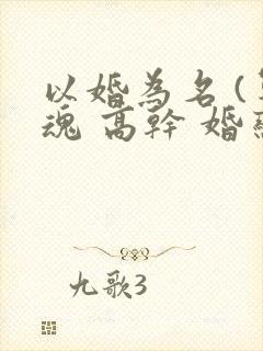 以婚为名 (军魂 高干 婚恋)