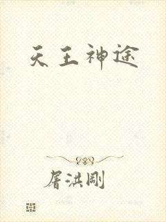 天王神途封面